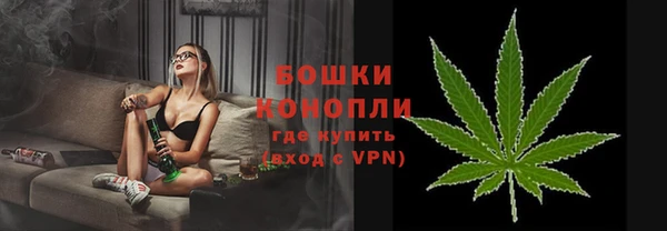 молекула духа Нефтекумск