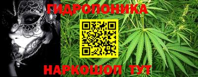 молекула духа Донской