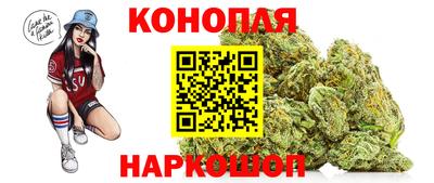 бошки Дубна