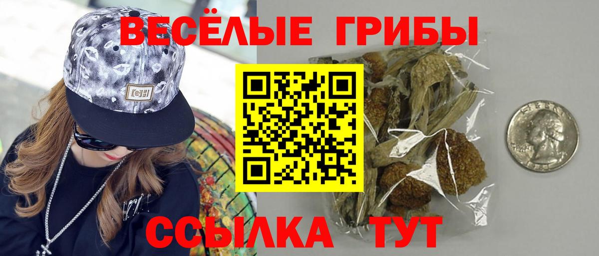 Галлюциногенные грибы Magic Shrooms  Галлюциногенные грибы MAGIC MUSHROOMS  Вход с VPN  Зерноград 