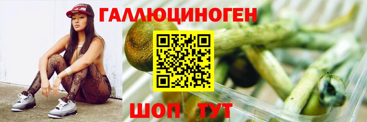 Галлюциногенные грибы Magic Shrooms Зерноград