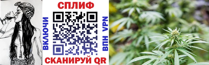 Бошки Шишки марихуана  Зерноград 